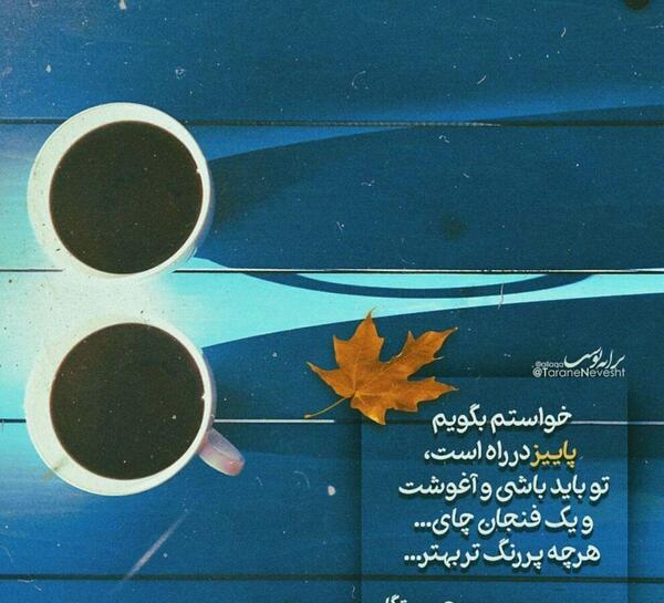 عکس چای پاییزی