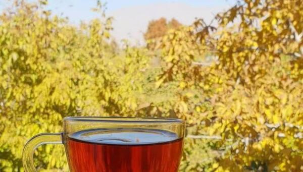 عکس چای پاییزی