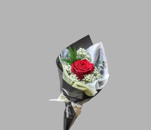عکس گل رز تک شاخه