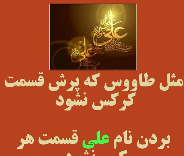 عکس نوشته فقط حیدر امیر المومنین است