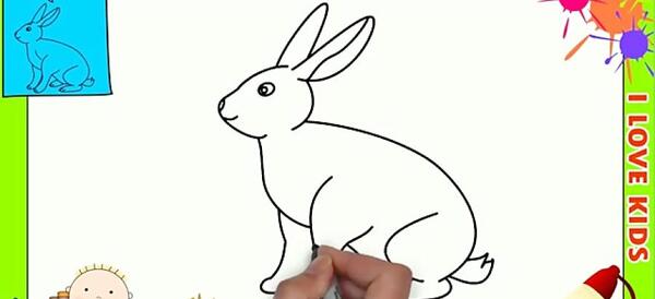 عکس خرگوش آسون