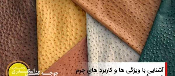 عکس چرم شتر