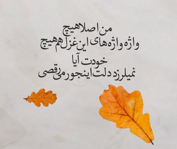 عکس نوشته شعر علیرضا بدیع
