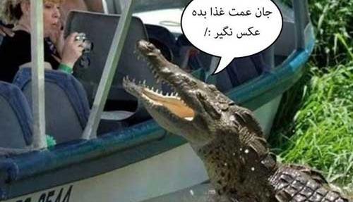 عکس های خنده دار و جالب جدید