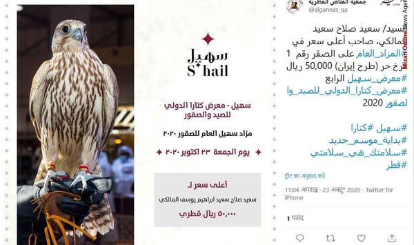 عکس گرانترین شاهین