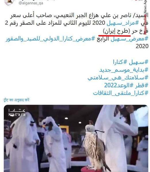عکس گرانترین شاهین