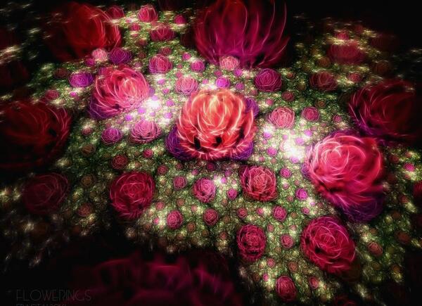 عکس سه بعدی گل رز