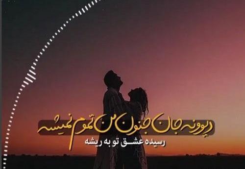 عکس نوشته دوست دارم دیوونه
