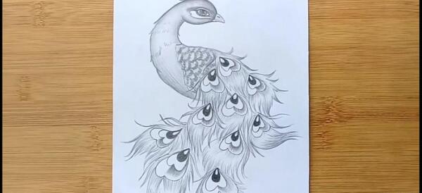 عکس نقاشی طاووس فانتزی