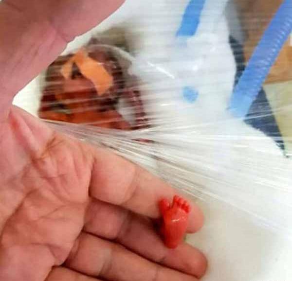 عکس نوزاد بامزه