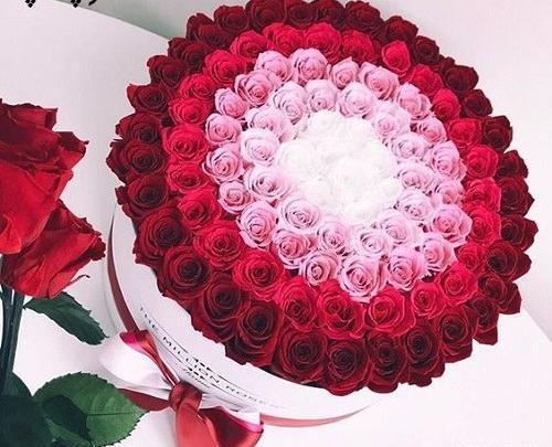 عکس گلهای بسیار زیبای جهان برای پروفایل