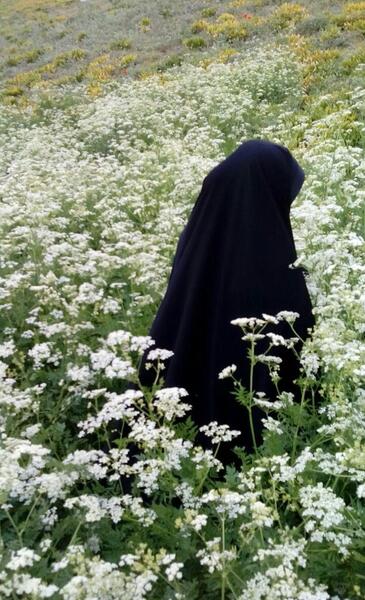 عکس دختر باحجاب از پشت سر