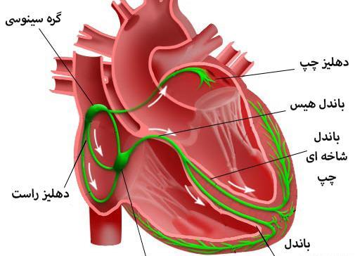 عکس از ضربان قلب تند