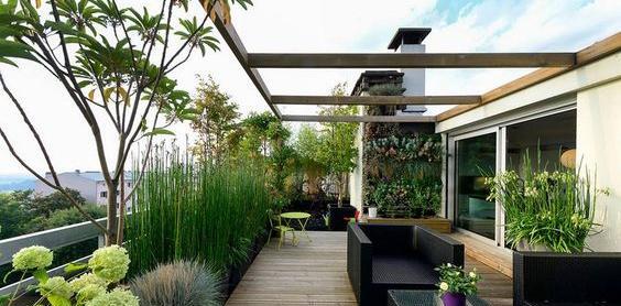 عکس ایده برای باغچه پشت بام