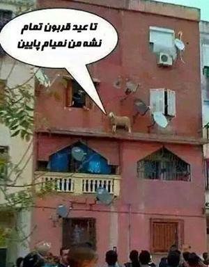 عکس نوشته طنز عید قربان مبارک