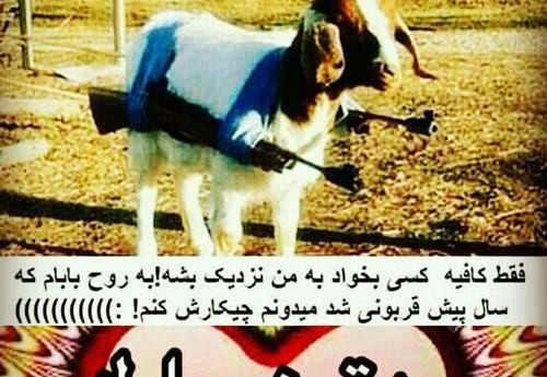 عکس نوشته طنز عید قربان مبارک