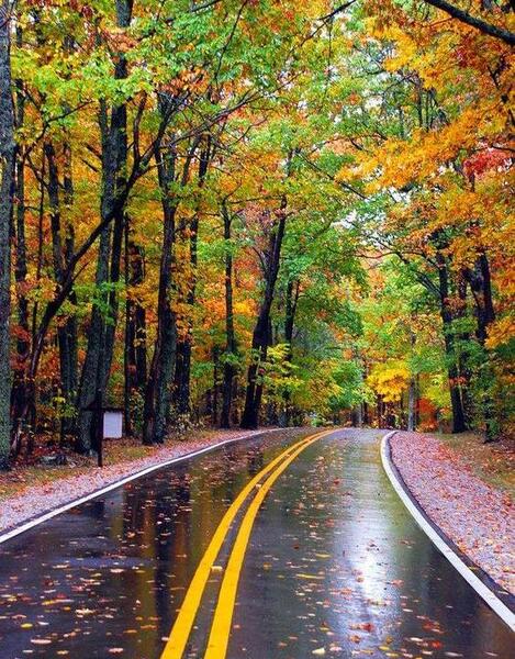 عکس طبیعت زیبا برای صفحه گوشی