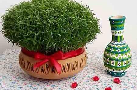 عکس سبزه عید گندم