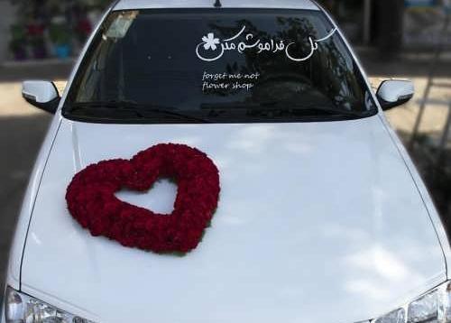 عکس پروفایل پسرانه پژو پارس