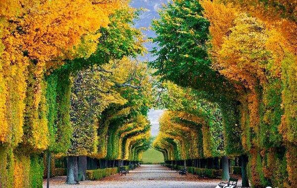 عکس از مناظر زیبای جهان