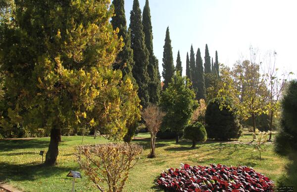 عکس زیبا از طبیعت شیراز
