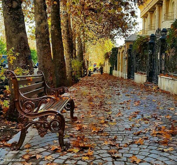 عکس زیبا از طبیعت شیراز