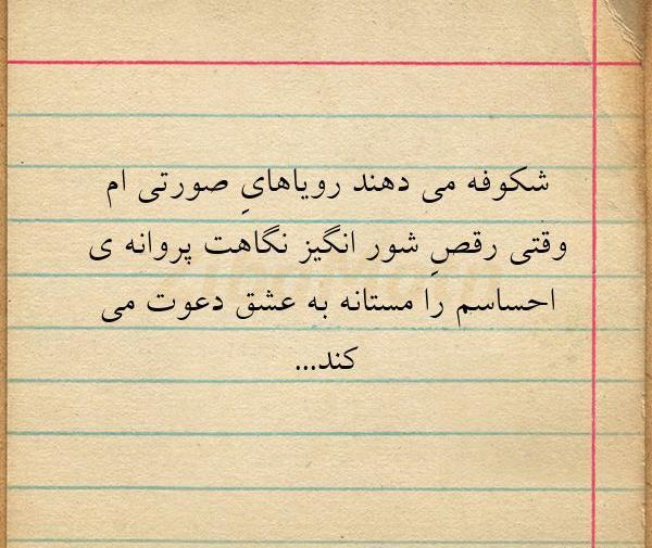 عکس شکوفه نوشته