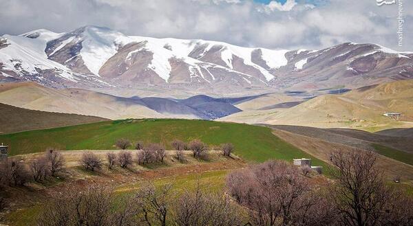 عکس بهار کردستان