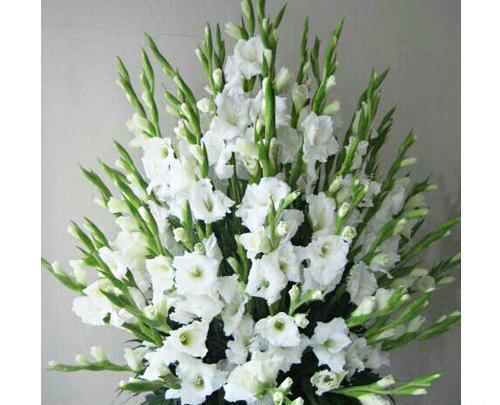 عکس دسته گل تسلیت
