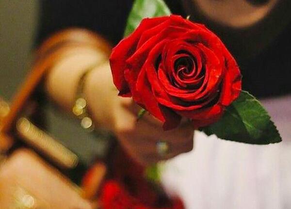 عکس گلهای جدایی