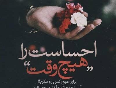 عکس گلهای جدایی