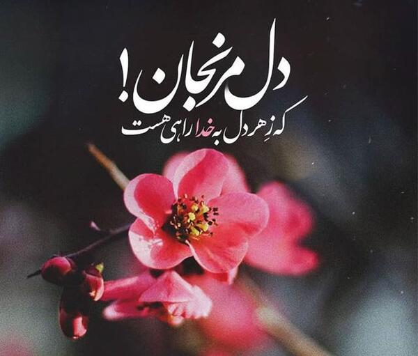 عکس گلهای جدایی