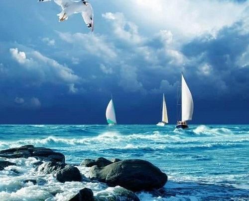عکس دریا ساده