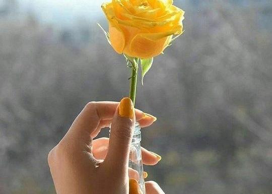 عکس پروف دخترونه زرد