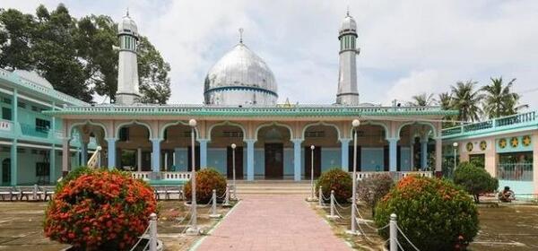 عکس سعید چام چام