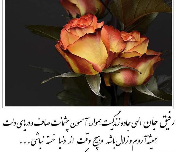 عکس نوشته رفیق عزیزم تولدت مبارک