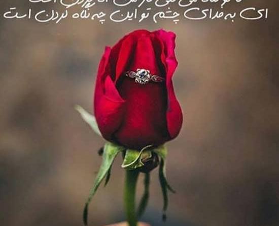 عکس نوشته عاشقانه گل سرخ