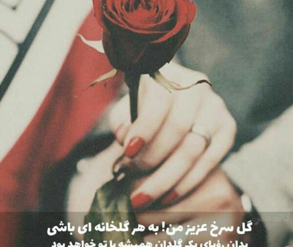 عکس نوشته عاشقانه گل سرخ