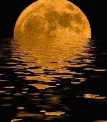 عکس شب غروب