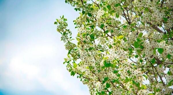 عکس طبیعت زیبا برای نوشتن