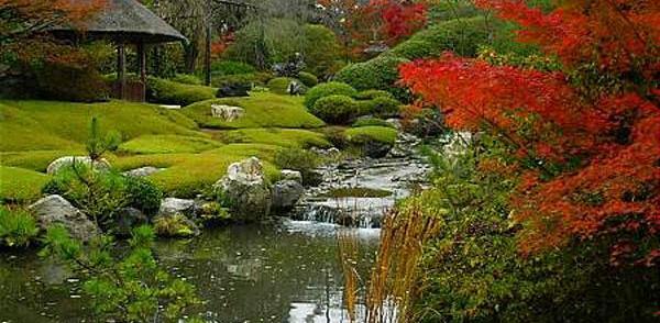 عکسهای طبیعت زیبای ژاپن