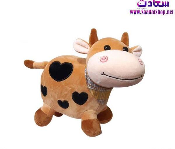 عکس گاو صباح