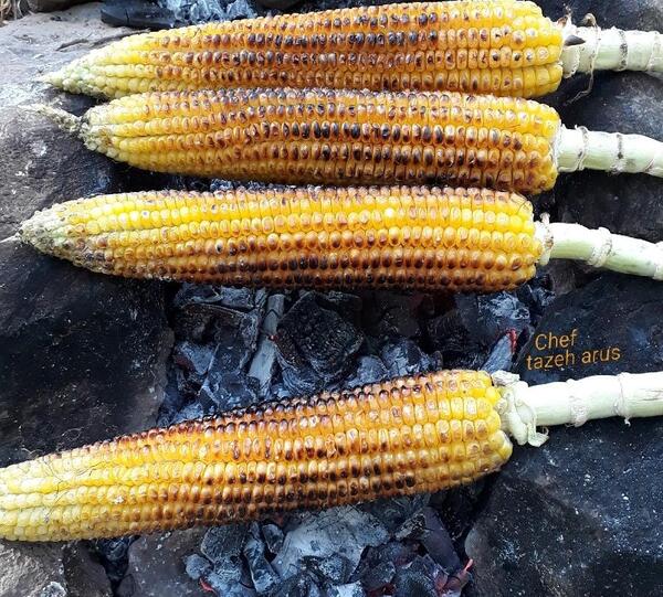 عکس ذرت کبابی