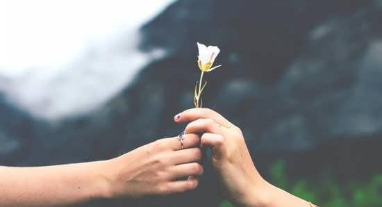 عکس دونفره گل دادن