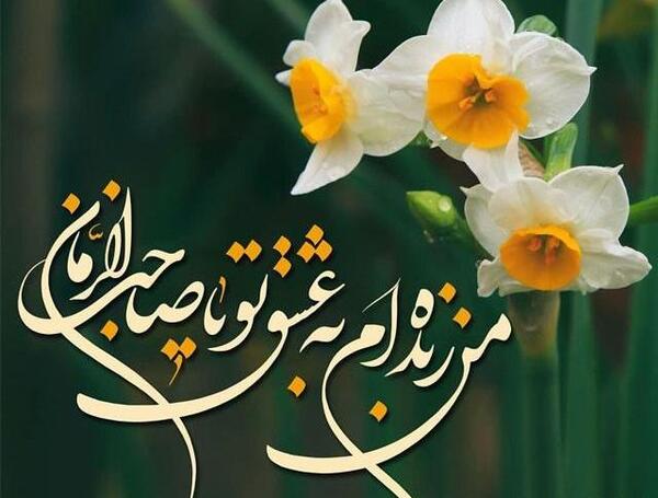 عکس گل نرگس مهدی