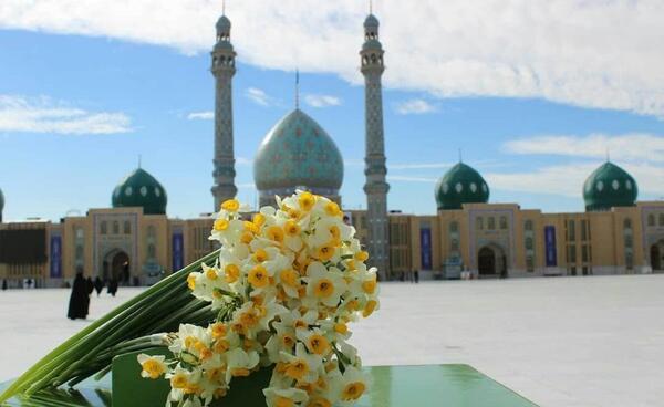 عکس گل نرگس مهدی