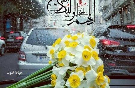 عکس گل نرگس مهدی