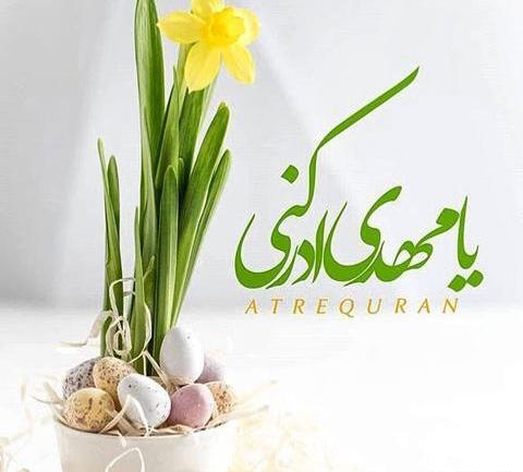 عکس گل نرگس مهدی