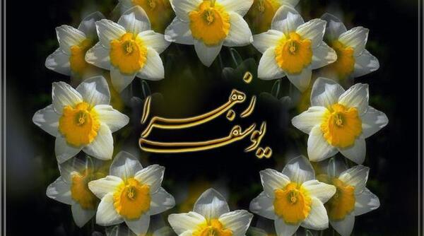 عکس گل نرگس مهدی