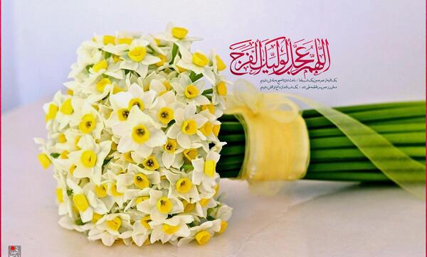 عکس گل نرگس مهدی